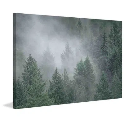Marmont Hill 'draped In Clouds' By Don Schwartz Painting Print On Wrapped Canvas In Green