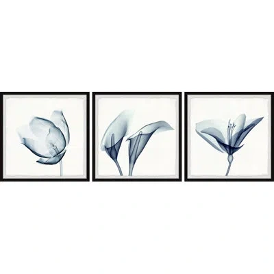 Marmont Hill Dream Big Dreams By  - 3 Piece Picture Frame Print Set In Blue;white
