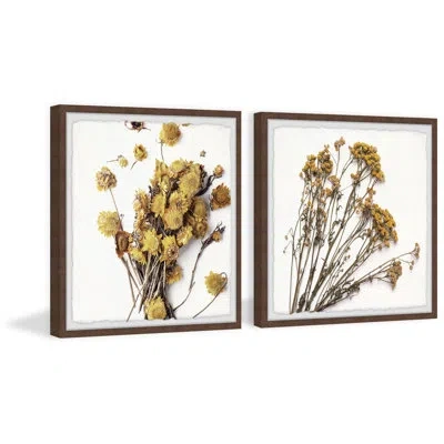 Marmont Hill Dried Flowers And Leaves By  - 2 Piece Single Picture Frame Print Set In Brown;yellow