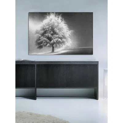 Marmont Hill 'enlightened Tree' By Don Schwartz Painting Print On Wrapped Canvas In Gray