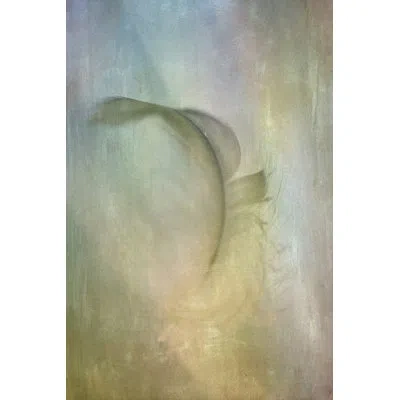 Marmont Hill "falling Feather" Print On Wrapped Canvas In Beige;yellow