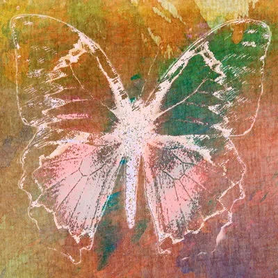 Marmont Hill 'farfalla Iii' By Sia Aryai Painting Print On Wrapped Canvas In White;green;orange