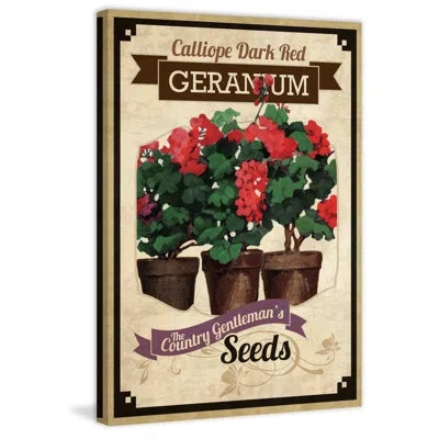 Marmont Hill 'flower Packet Geranium' Painting Print On Wrapped Canvas In Brown;green;red