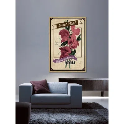 Marmont Hill 'flower Packet Sweet Peas' Painting Print On Wrapped Canvas In Brown;pink