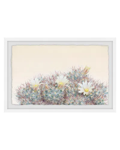 MARMONT HILL MARMONT HILL FLOWERING SUCCULENT