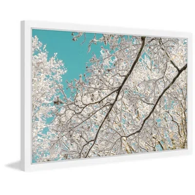Marmont Hill Frosted Branches By Judy Stalus - Picture Frame Photograph Print On Paper In Blue;white;gray