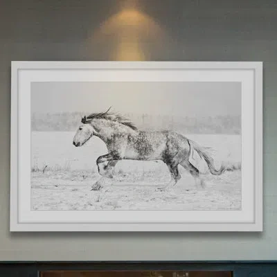 Marmont Hill 'galloping Joy' Framed Photographic Print On Paper In Black;white