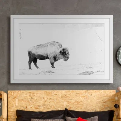 Marmont Hill 'grazing Bison' Framed Photographic Print On Paper In Black;white