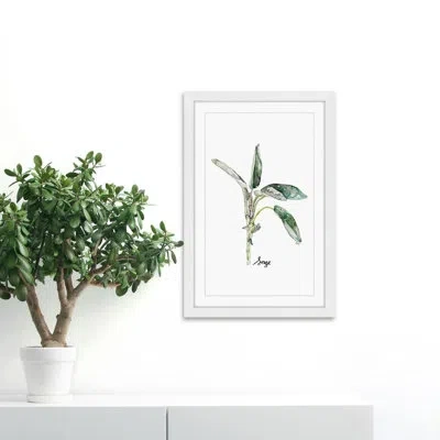 Marmont Hill 'herb Sage' By Rachel Byler Framed Painting Print On Paper In Green;gray