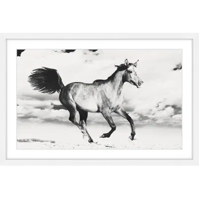Marmont Hill Horse Dance By  - Picture Frame Photograph Print On Paper In White Framed