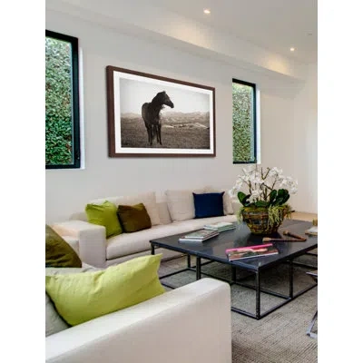 Marmont Hill "horse In Wind" Framed Print In Black;brown