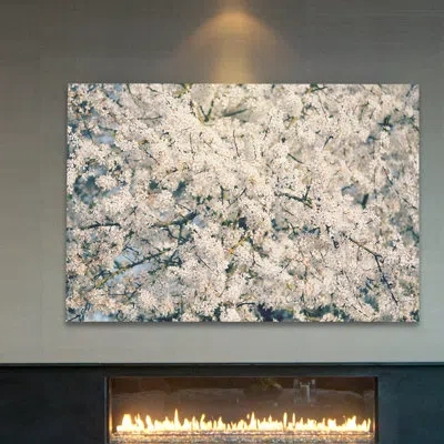 Marmont Hill 'in Full Bloom' By Robin Delean Painting Print On Wrapped Canvas In White