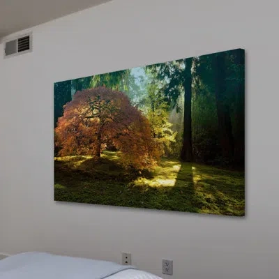 Marmont Hill 'in The Gentle Autumn Light' By Don Schwartz Painting Print On Wrapped Canvas In Green