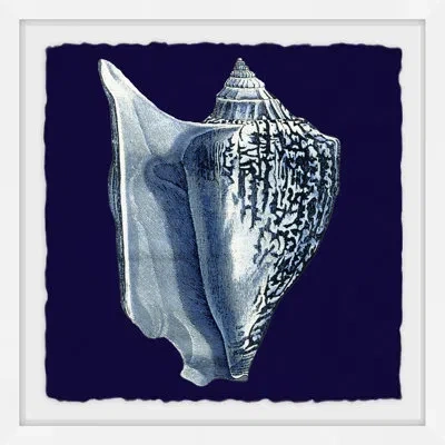 Marmont Hill Indigo Shell I By  - Picture Frame Graphic Art On Paper In White Framed
