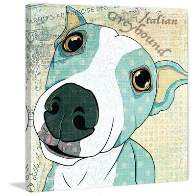 Marmont Hill 'italian Greyhound' By Stephanie Gerace Painting Print On Wrapped Canvas In Blue;brown;green;yellow