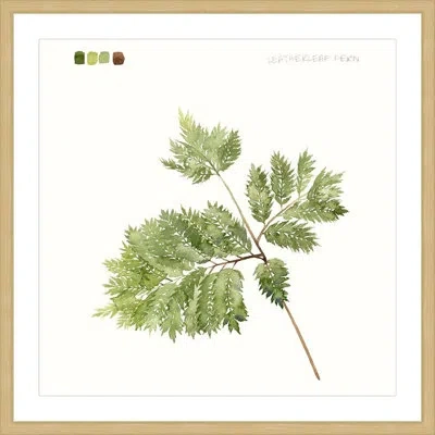 Marmont Hill "leaf Study Ii" Framed Print In Brown;green