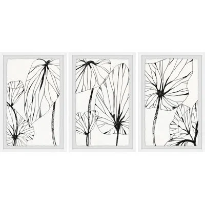 Marmont Hill Linear Tropics V By  - 3 Piece Single Picture Frame Print Set In Black;white