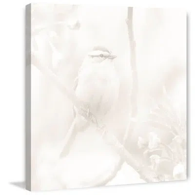 Marmont Hill 'little Bird' Painting Print On Wrapped Canvas In White;pink