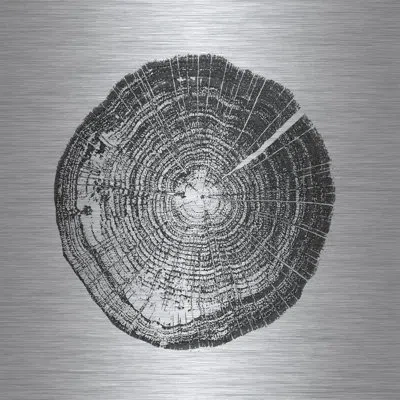 Marmont Hill 'log Cutout Black' By Amanda Greenwood Print On Metal