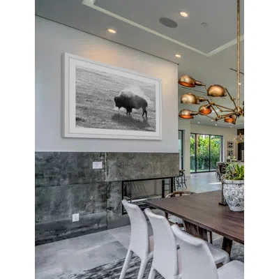 Marmont Hill 'lone Buffalo' Framed Photographic Print On Paper In Black;white