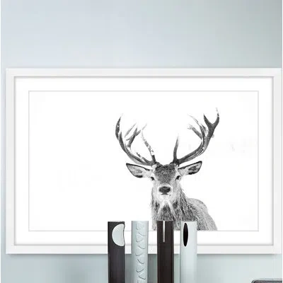 Marmont Hill Majestic Antlers By  - Picture Frame Photographic Print On Paper In White Framed