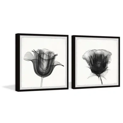 Marmont Hill Mindset Is Everything By  - 2 Piece Picture Frame Print Set In Black;white