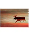 Marmont Hill Moosehead
