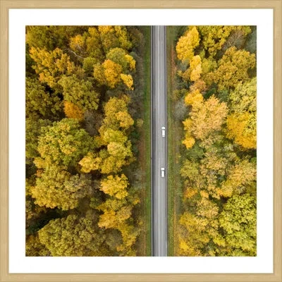 Marmont Hill 'nature Road' By Karolis Janulis Framed Photographic Print In Brown;green;gray;orange