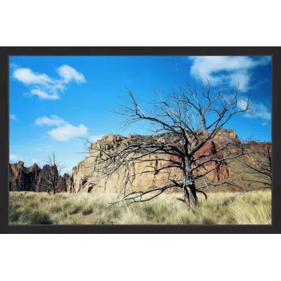 Marmont Hill 'oregon Escape' Wrapped Canvas Print In Black Framed