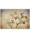 Marmont Hill Pale Orchids Wide