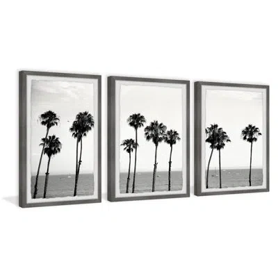 Marmont Hill Palm Trees And The Sea By  - 3 Piece Picture Frame Photograph Set In Black;white