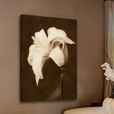 Marmont Hill 'petal Profusion' By Leda Robertson Painting Print On Wrapped Canvas In Brown;white