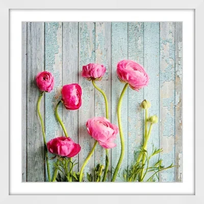 Marmont Hill 'pink Ranunculus' By Sylvia Cook Framed Painting Print In Green;pink