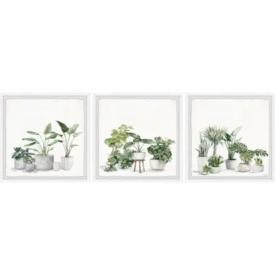 Marmont Hill Plant Collection By  - 3 Piece Picture Frame Painting Set In Brown;green