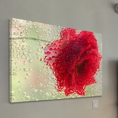 Marmont Hill 'red Rose In A Light Rain' By Don Schwartz Painting Print On Wrapped Canvas