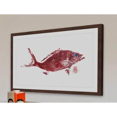 Marmont Hill 'red Snapper 2' Framed Painting Print In White;red