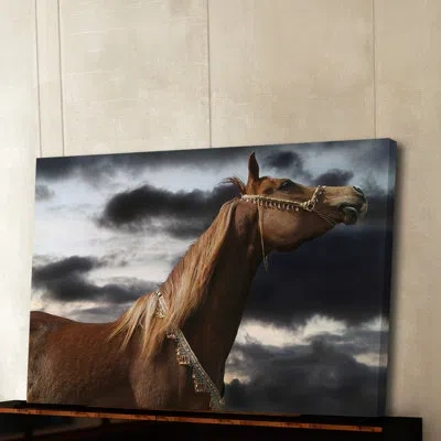 Marmont Hill 'rehannah' By Maggie Dee Painting Print On Wrapped Canvas In Black;brown