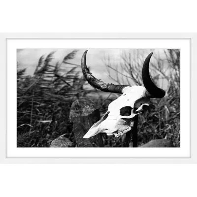 Marmont Hill Skull In The Grass By  - Picture Frame Photograph On Paper In White Framed