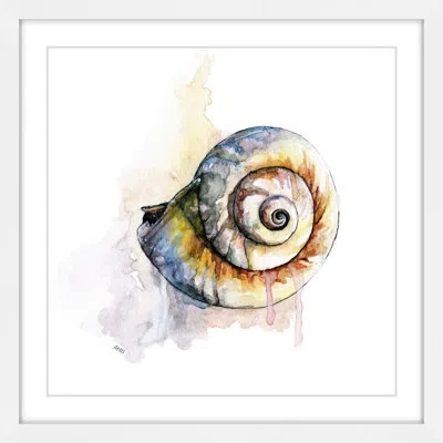 Marmont Hill 'snail Shell' By Rachel Byler Framed Painting Print On Paper In Blue;gray;yellow;pink;orange
