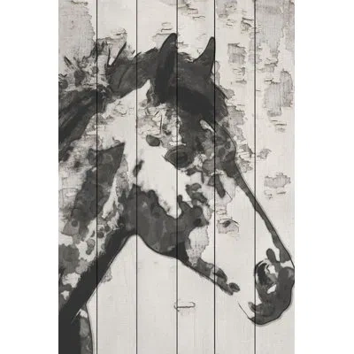 Marmont Hill 'star Bright Horse' By Irena Orlov Painting Print On White Wood In Black;white