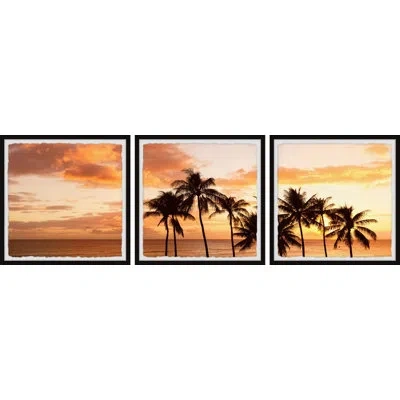 Marmont Hill Sunset And Palm Trees By  - 3 Piece Picture Frame Photograph Set In Black;yellow;orange