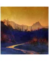 Marmont Hill Sunset Saguaros Stream