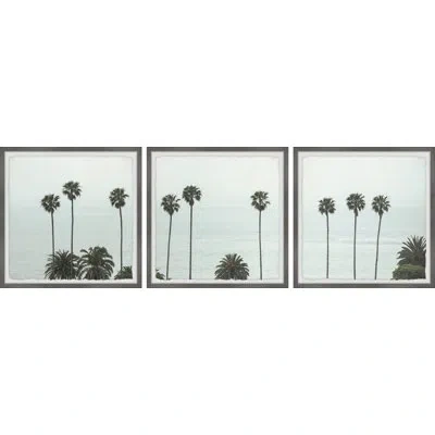Marmont Hill Tall Coco Palm Trees By  - 3 Piece Picture Frame Photograph Set In Blue;green