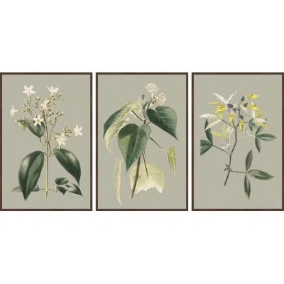 Marmont Hill Tiny Blooms 3-piece Print On Canvas In Green