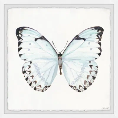 Marmont Hill 'translucent Blue Wings Iii' - Picture Frame Print On Paper In Blue;black;gray