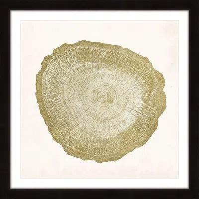 Marmont Hill "tree Ring Iv" Framed Print In Green;beige