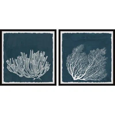 Marmont Hill Tropical Corals By  - 2 Piece Picture Frame Graphic Art Set In Blue;white