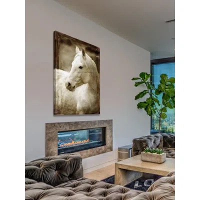 Marmont Hill Unaware - Wrapped Canvas Photograph Print In Brown;white