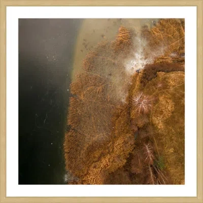 Marmont Hill "undersea Earth" By Karolis Janulis Framed Print In Brown