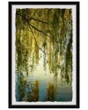 Marmont Hill Vines And Branches Framed Print Wall Art In Multicolor